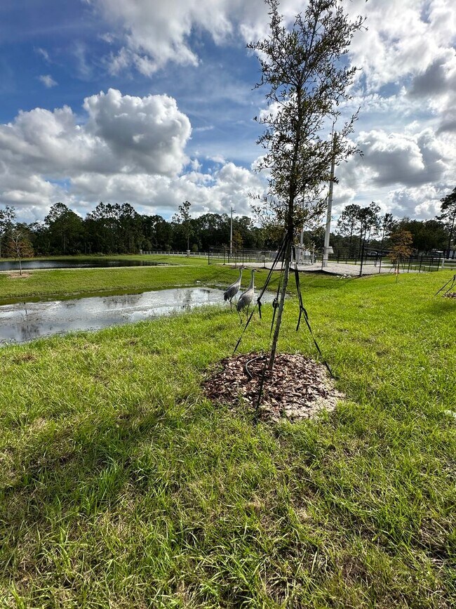 Foto del edificio - Stunning 4/2 close to Lake Nona!!