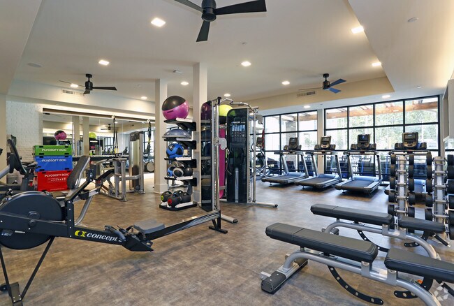 Gimnasio - Blu on Farrington