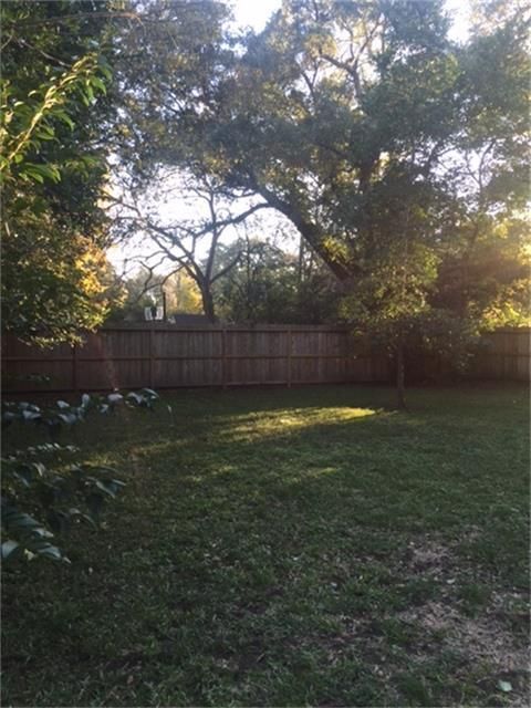 Back yard - 1200 Carlisle St