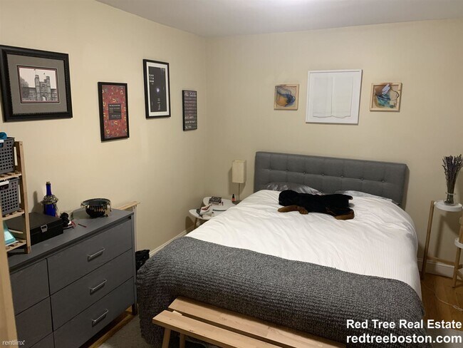 Building Photo - 1 br, 1 bath  - 65 Joy St Apt 1L