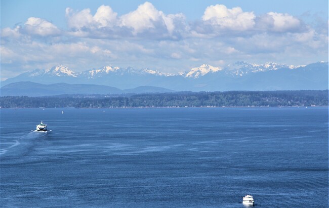 Olympic Mts and bay view from your large private deck. from your private deck - 1415 2nd Ave