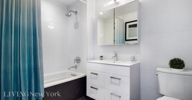 Foto del edificio - 1 bedroom in Brooklyn NY 11211