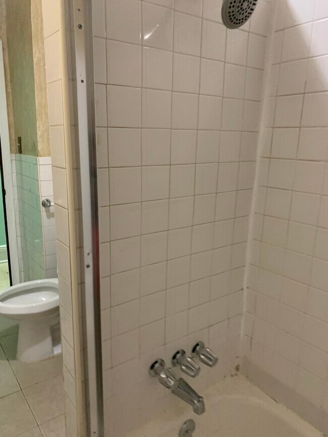 Shower - 9153 98th St