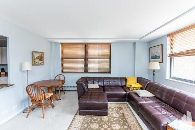 1 bedroom in Chicago IL 60610 - 1 bedroom in Chicago IL 60610 Apartment