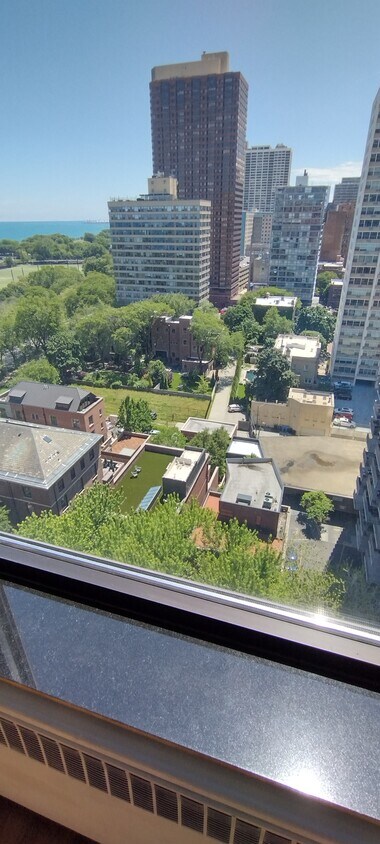 Primary Photo - 3100 N Lake Shore Dr