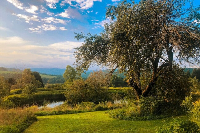 Building Photo - Stunning Views at this 2BR Chic Country Cabin