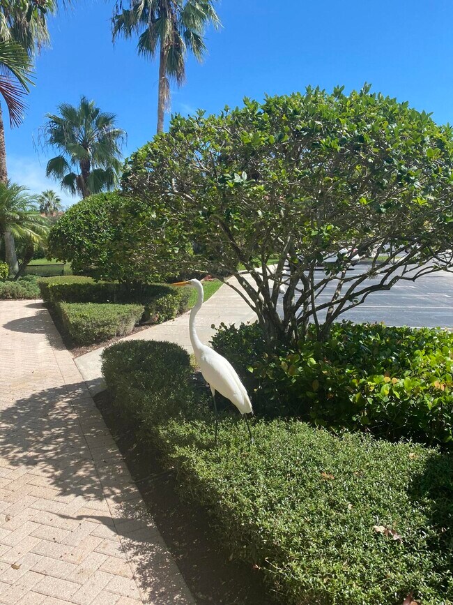 Foto del edificio - 4931 Bonsai Cir