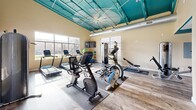 Located at 9001 Kempwood Drive in Houston, Texas, this fitness center offers a dedicated exercise room designed to support a well-rounded workout experience. The space is immediately distinguished by its soaring ceilings adorned with a striking teal geometric framework, lending the room a bold, energetic character that complements its purpose. Exposed ductwork and track lighting add an industrial touch, while a large ceiling fan ensures comfortable air circulation throughout.

The workout floor is finished with wood-look plank flooring and is generously outfitted with a diverse array of cardiovascular and strength-training equipment. Treadmills, stationary bikes, a rowing machine, an elliptical, a multi-station cable machine, a weight bench, and a dumbbell rack are all present, catering to a variety of fitness routines. Exercise balls add flexibility training options to the mix.

Natural light pours in through large, floor-to-ceiling windows along one wall, offering views of the surrounding green lawn and neighboring buildings—creating an open, inviting atmosphere. A wall-mounted television provides entertainment during workouts. Full-length mirrors on one wall enhance the sense of space and allow users to monitor their form. The overall ambiance is bright, motivating, and well-appointed, making this fitness center a comprehensive resource for residents.