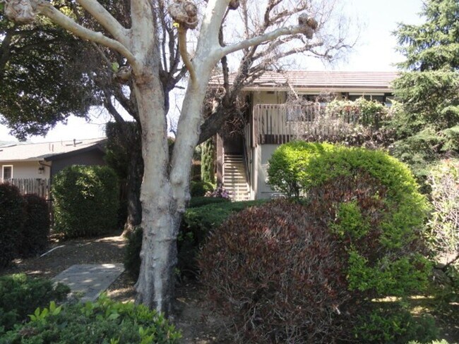 Foto del edificio - Carmel Valley Condo