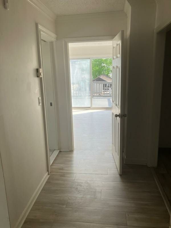 Foto del edificio - 841 Whalley Ave