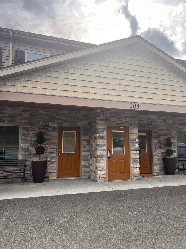 Entrada principal - 205 Locust Ave