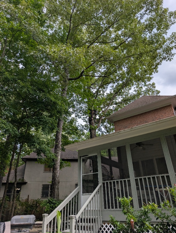 Building Photo - 1009 Saddlecreek Pkwy