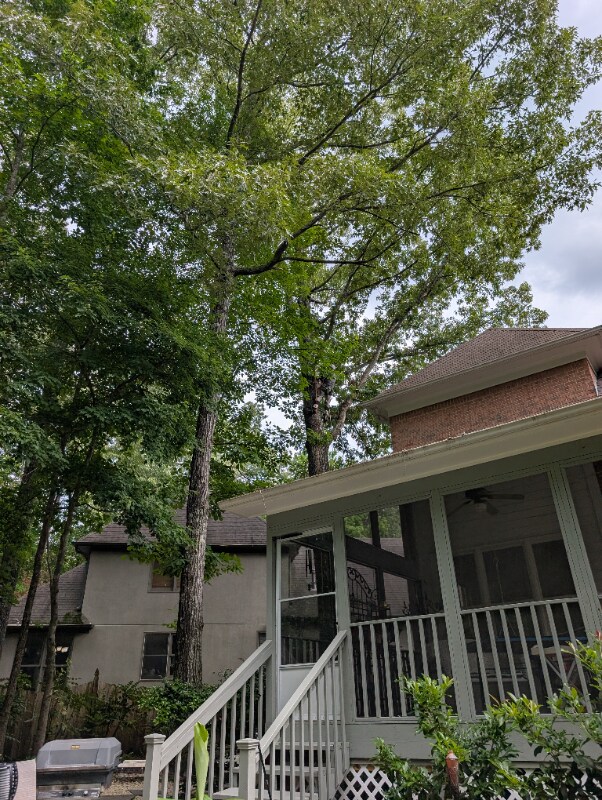 Foto del edificio - 1009 Saddlecreek Pkwy