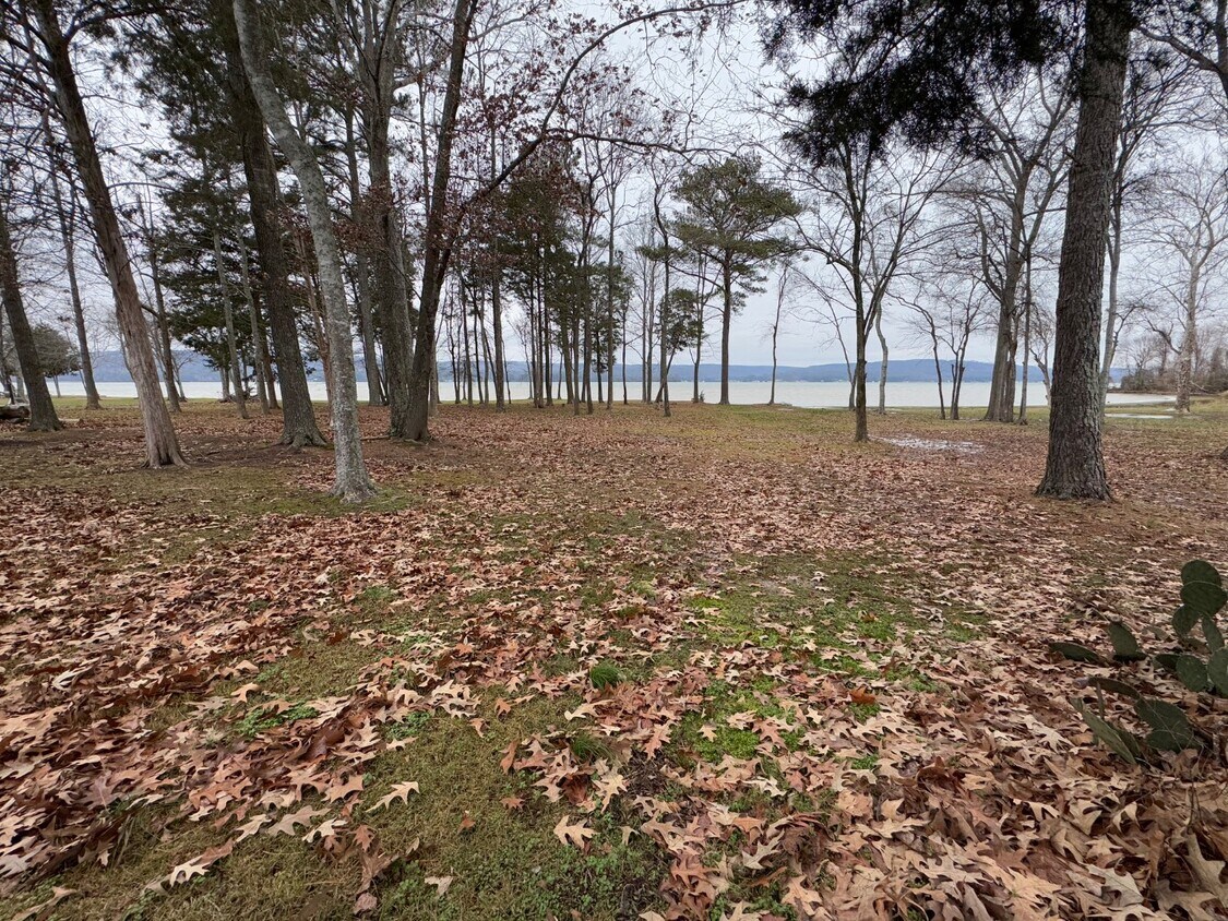 Foto principal - 276 Star Point Rd