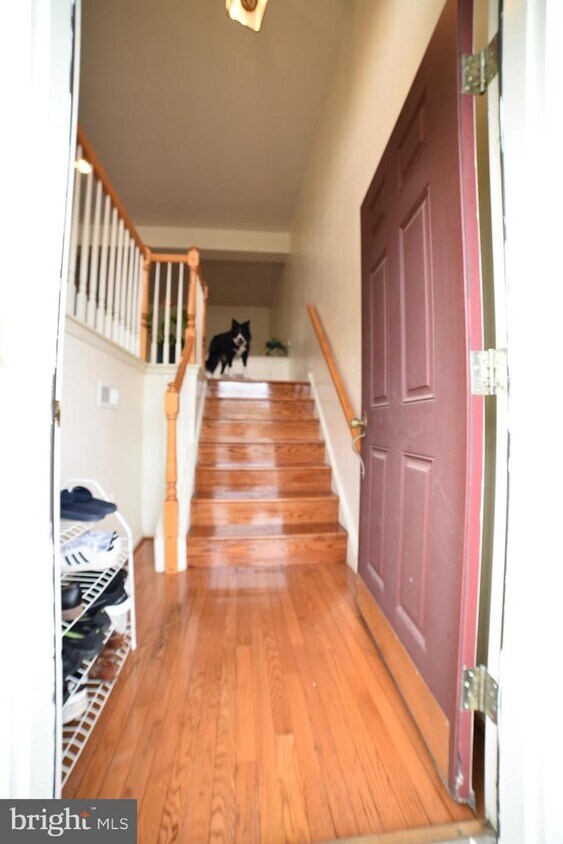 Primary Photo - 286 Yorktown Ct
