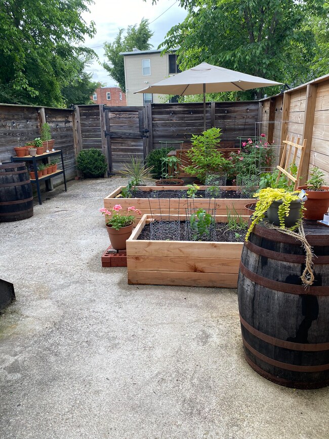 Backyard -1 - 1908 E St NE