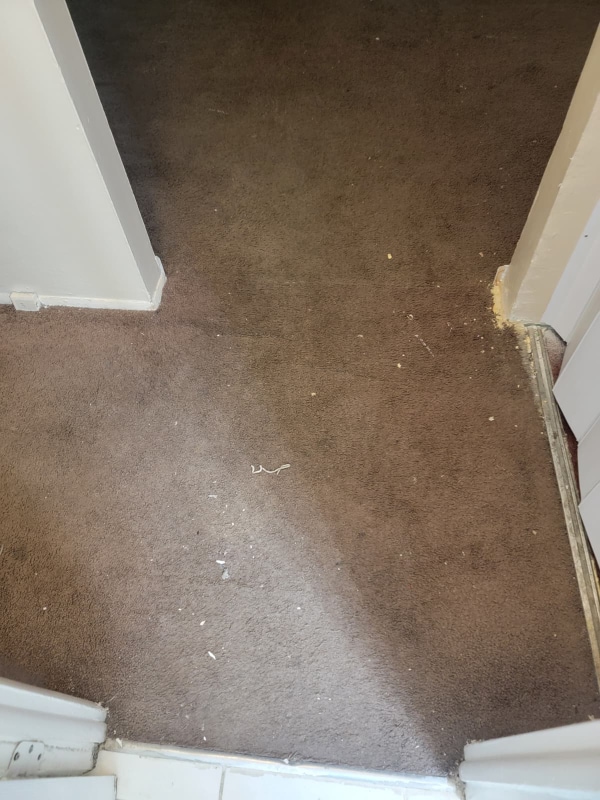 Foto del edificio - 13540 Superior Rd