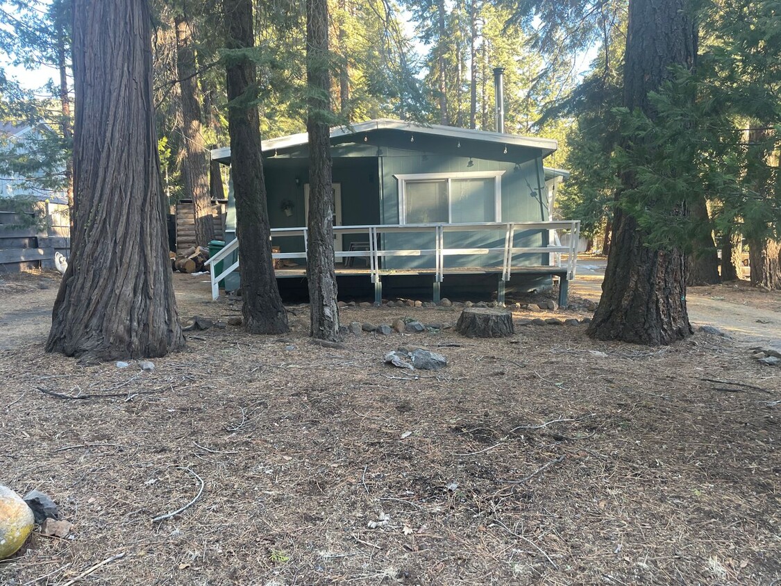 Primary Photo - COZY CABIN ON THE LAKE