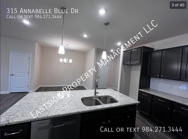 Foto del edificio - 315 Annabelle Blue Dr
