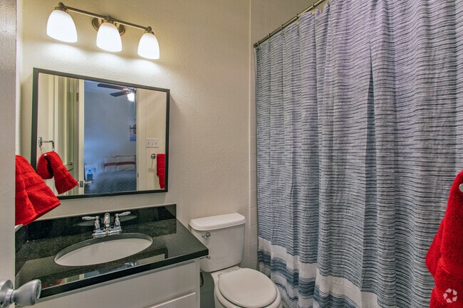 Old South Austin Apartments Austin Tx Apartments Com