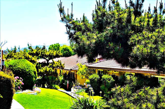 Luscious Landscaping - 1032 San Marino Dr