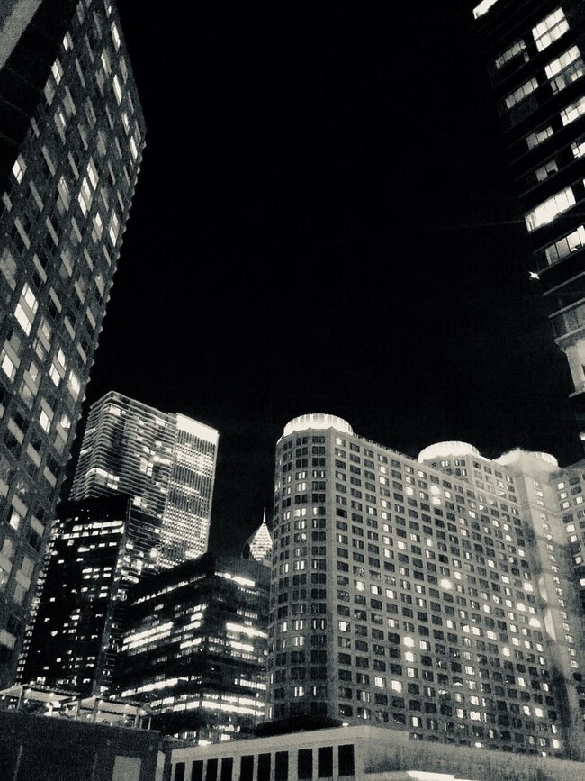 Foto del edificio - 440 N McClurg Ct