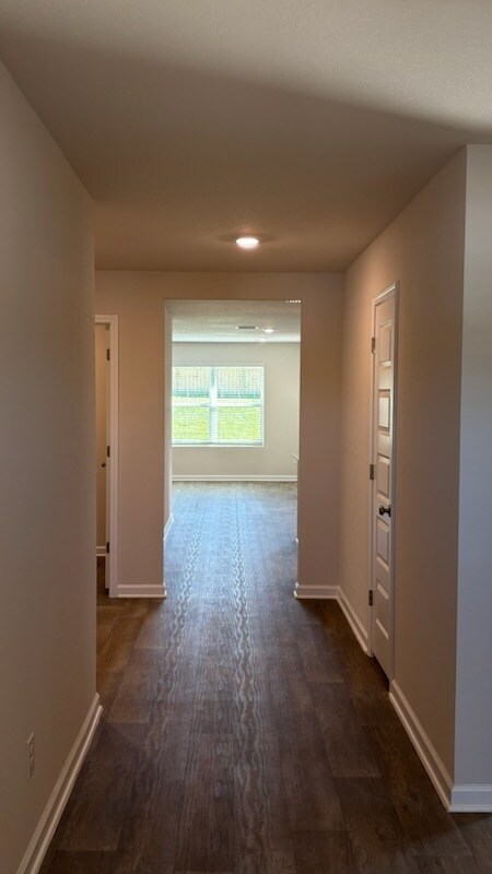 Building Photo - 11426 Elemis Dr