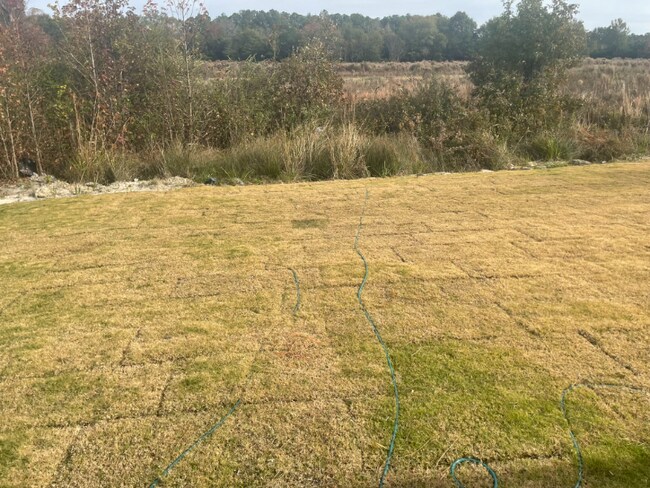 Foto del edificio - 256 Blue Vly Ct