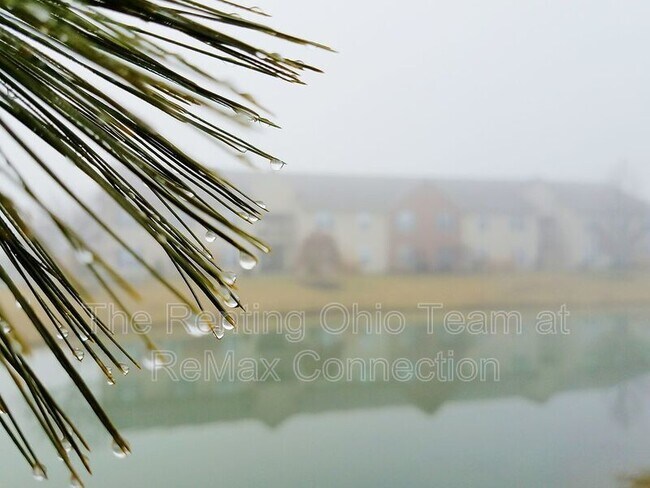 Building Photo - 3469 Bear Pointe Cir