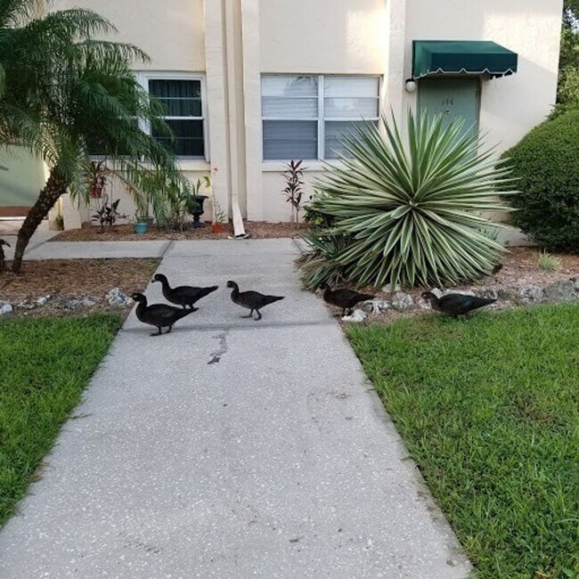 Foto del edificio - NEW PRICE / Summer Lakes-N Tamiami Trail