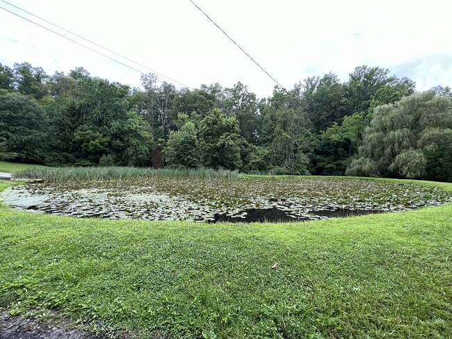 Pond in front of house - 8895 Frederick Rd