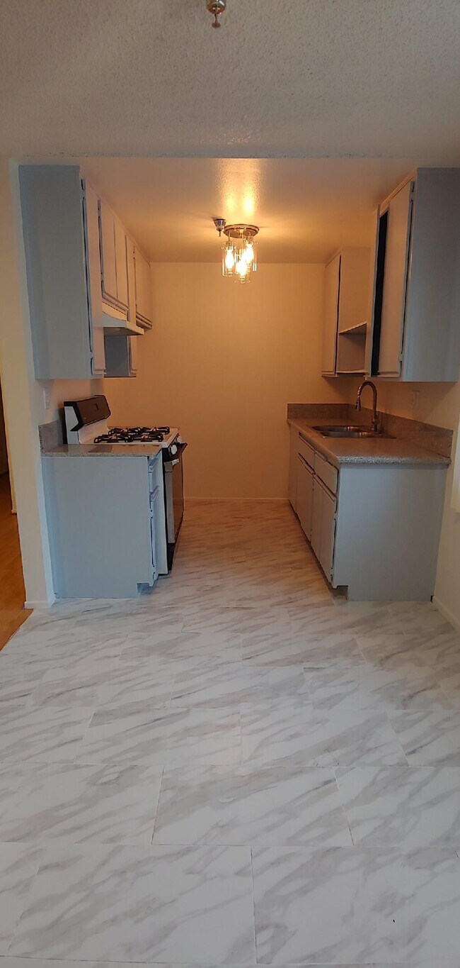kitchen - 423 W Maple St