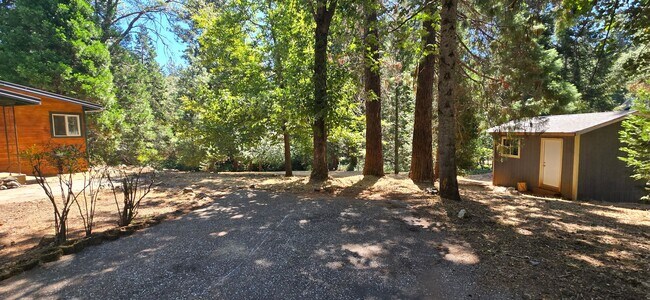 Foto del edificio - 3 bed 2 bath home surrounded by nature