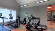 Located at 2000 Geddy House Ln in Cary, NC, this single-floor fitness center is thoughtfully designed to provide a welcoming and functional workout environment. The space features soaring vaulted ceilings that lend an open, airy feel, complemented by suspended linear lighting fixtures that ensure bright, even illumination throughout. Large windows along the wall invite natural light, creating an energizing atmosphere ideal for exercise. The flooring combines durable dark hardwood-style sections with vibrant orange rubber fitness mats, providing both practical support for equipment and a visually dynamic aesthetic. The facility is equipped with a well-curated selection of modern cardio machines, including elliptical trainers, a recumbent exercise bike, and additional aerobic equipment from recognized fitness brands. Colorful abstract artwork adorns the neutral gray walls, adding a touch of visual interest and motivation to the space. The overall layout is clean and organized, allowing for comfortable movement between machines. This fitness center delivers a professional yet approachable setting, combining quality equipment and smart design to support a variety of cardiovascular workouts.