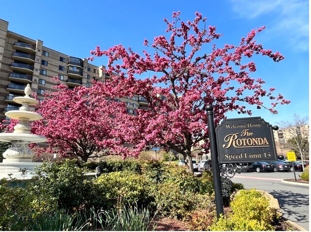 La Rotonda - 8360 Greensboro Dr