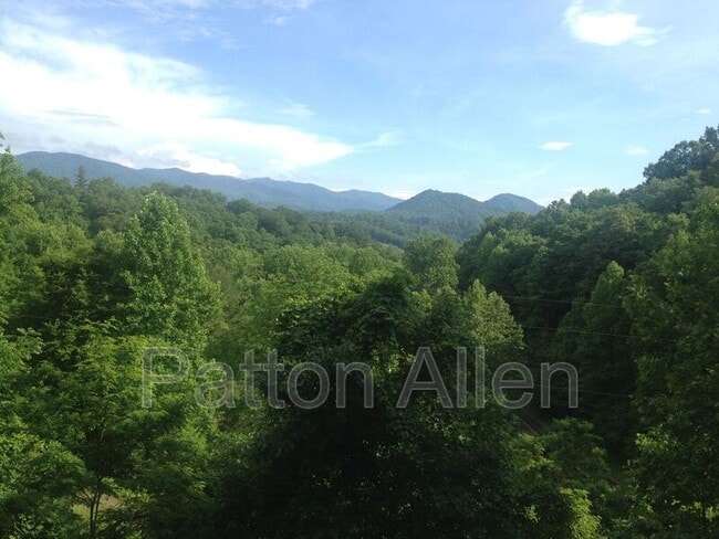 Foto del edificio - 41 Blevins Knob Dr