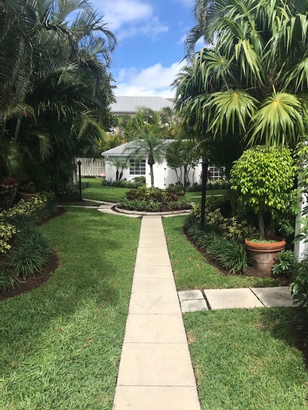 Main Walkway - 1225 George Bush Blvd