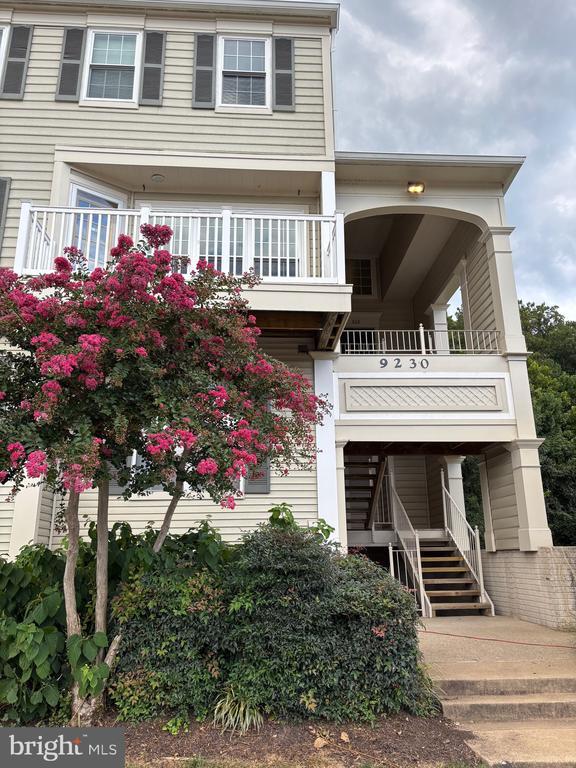 Building Photo - 9230 Cardinal Forest Ln