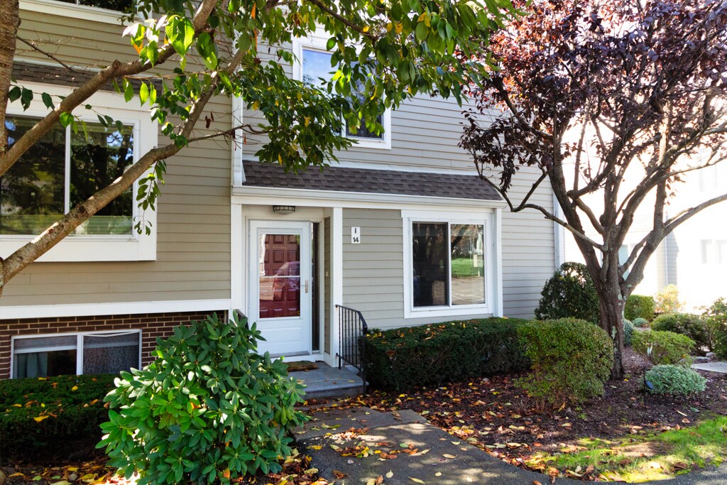 Primary Photo - 71 Aiken St