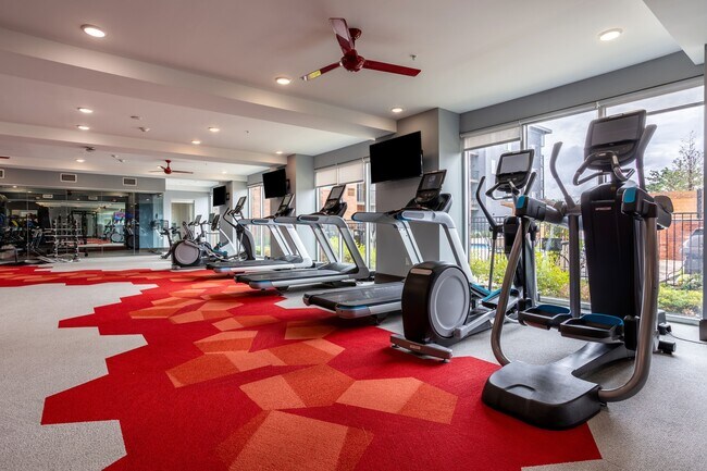 El Monarca-POI-03-min - The Monarch