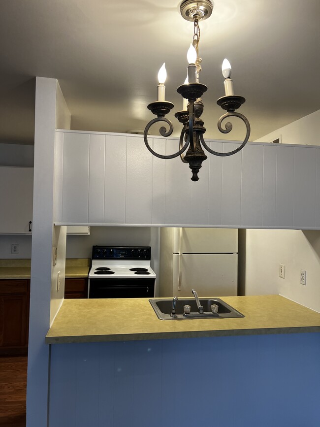 8709 Candlewood Trl