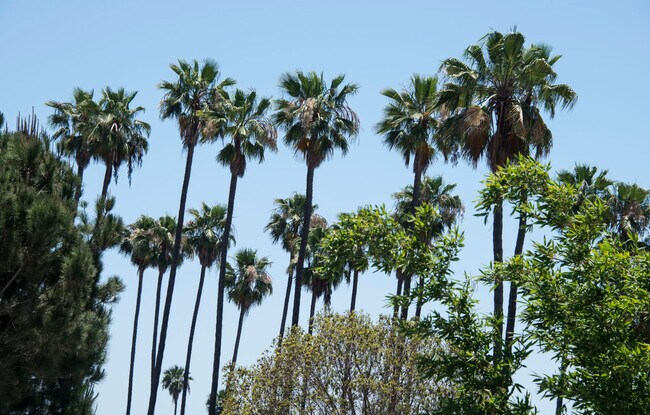 Foto del edificio - 7767 Hollywood Blvd