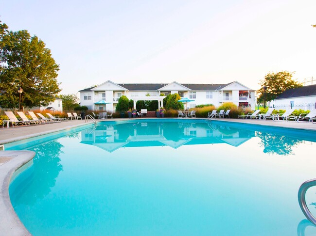 Piscina - Chestnut Hill Apartments