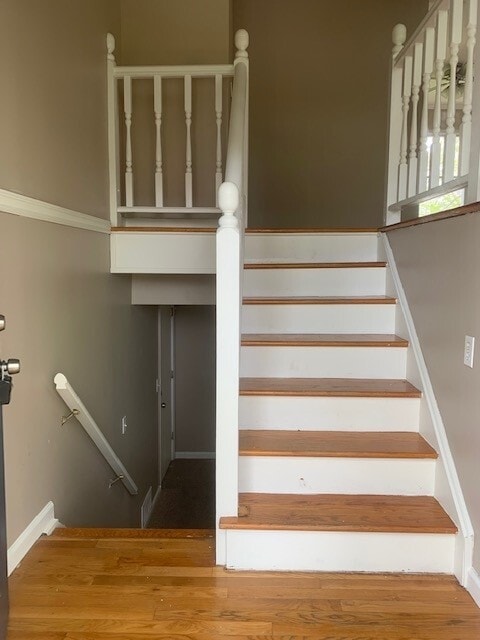 Building Photo - 3631 Jacqueline Dr