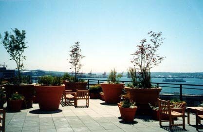 Foto del edificio - The Vine Building - Studio + extra room