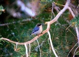 Building Photo - 310 Kris Kringle Rd Building Photo - 310 Kris Kringle Rd