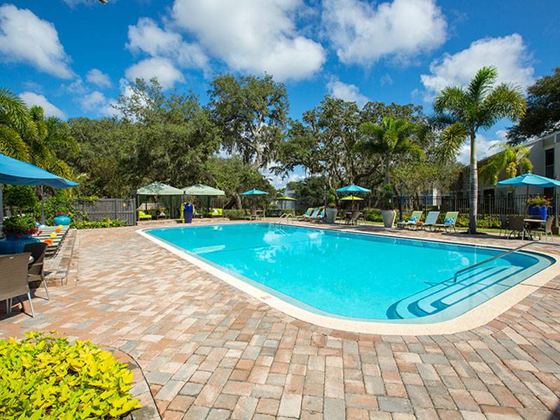 Agora Port Richey Apartments - Port Richey, FL | Apartments.com