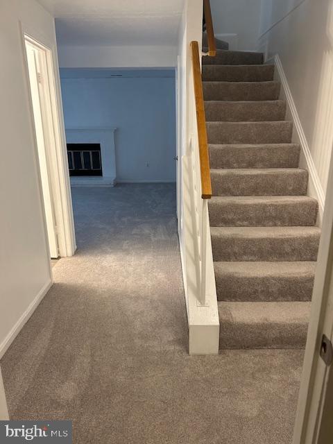 Foto principal - 2047 Featherwood St
