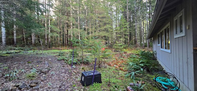 Building Photo - 2 Bedroom in Lake Cushman