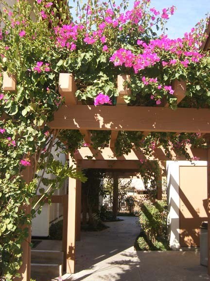 Foto del edificio - 6354 Rancho Mission Rd